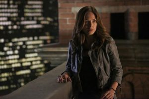 beauty-and-the-beast-cat-chandler-500x334 (1)